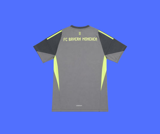 Bayern Munich Portero - 25/26