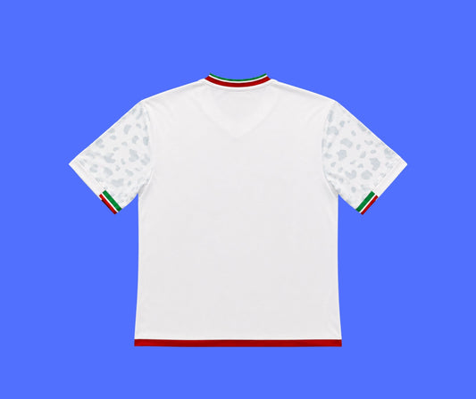 Iran Local Mundial - 2026