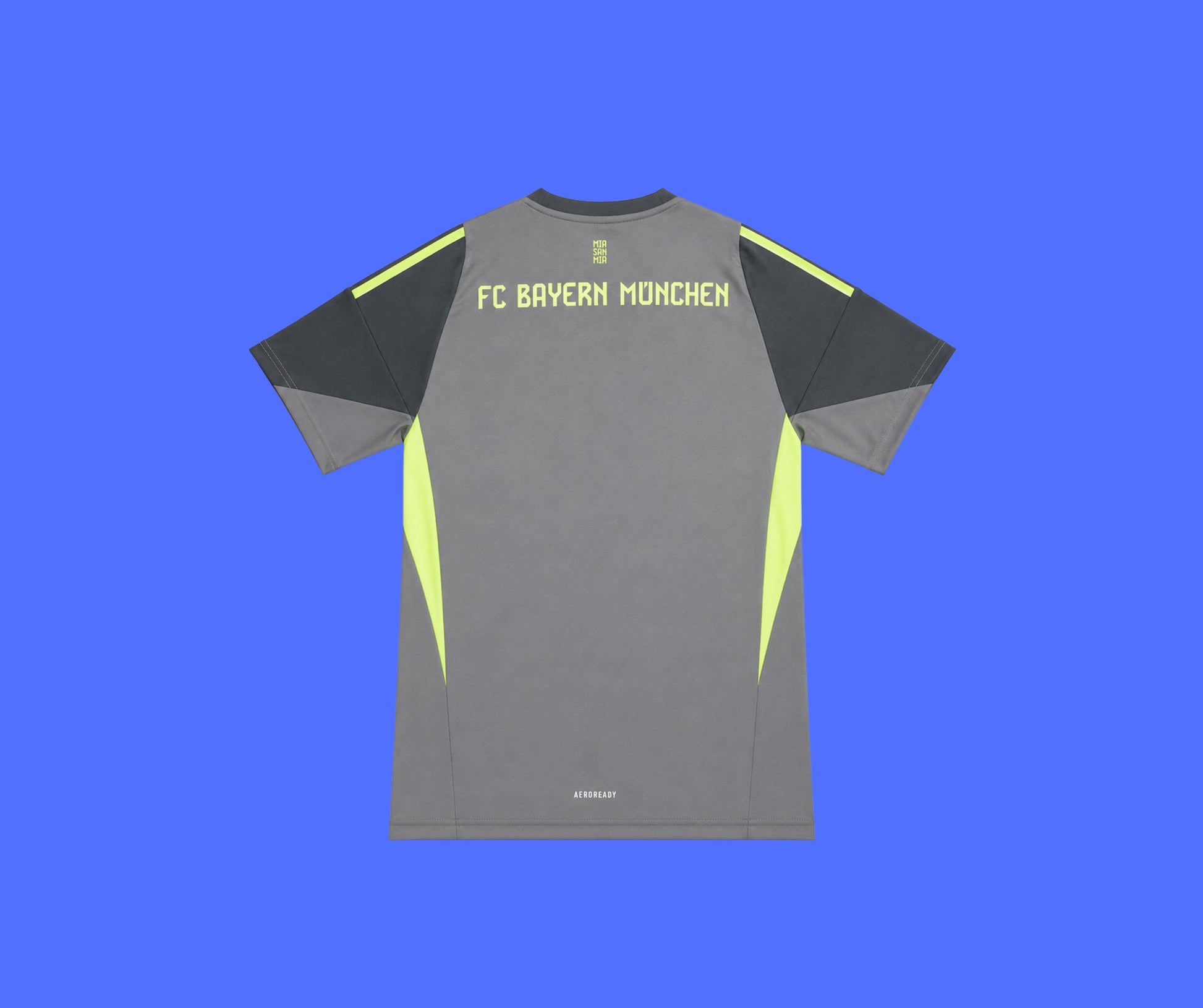 Bayern Munich Portero - 25/26